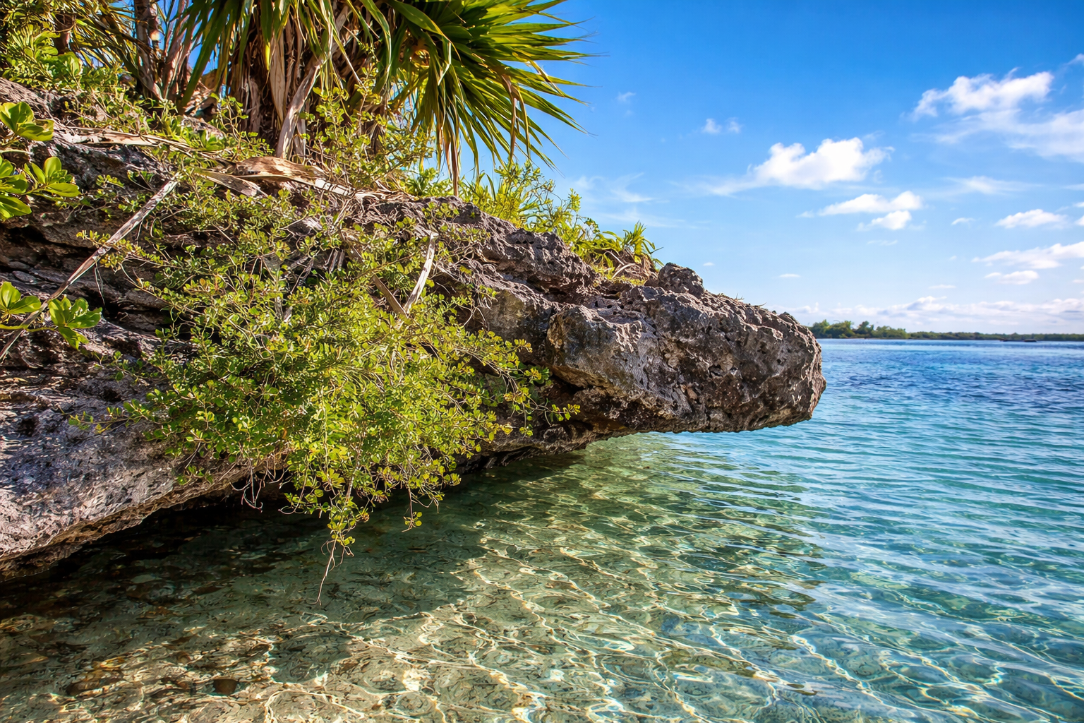 The South-East Islands By SpeedBoat