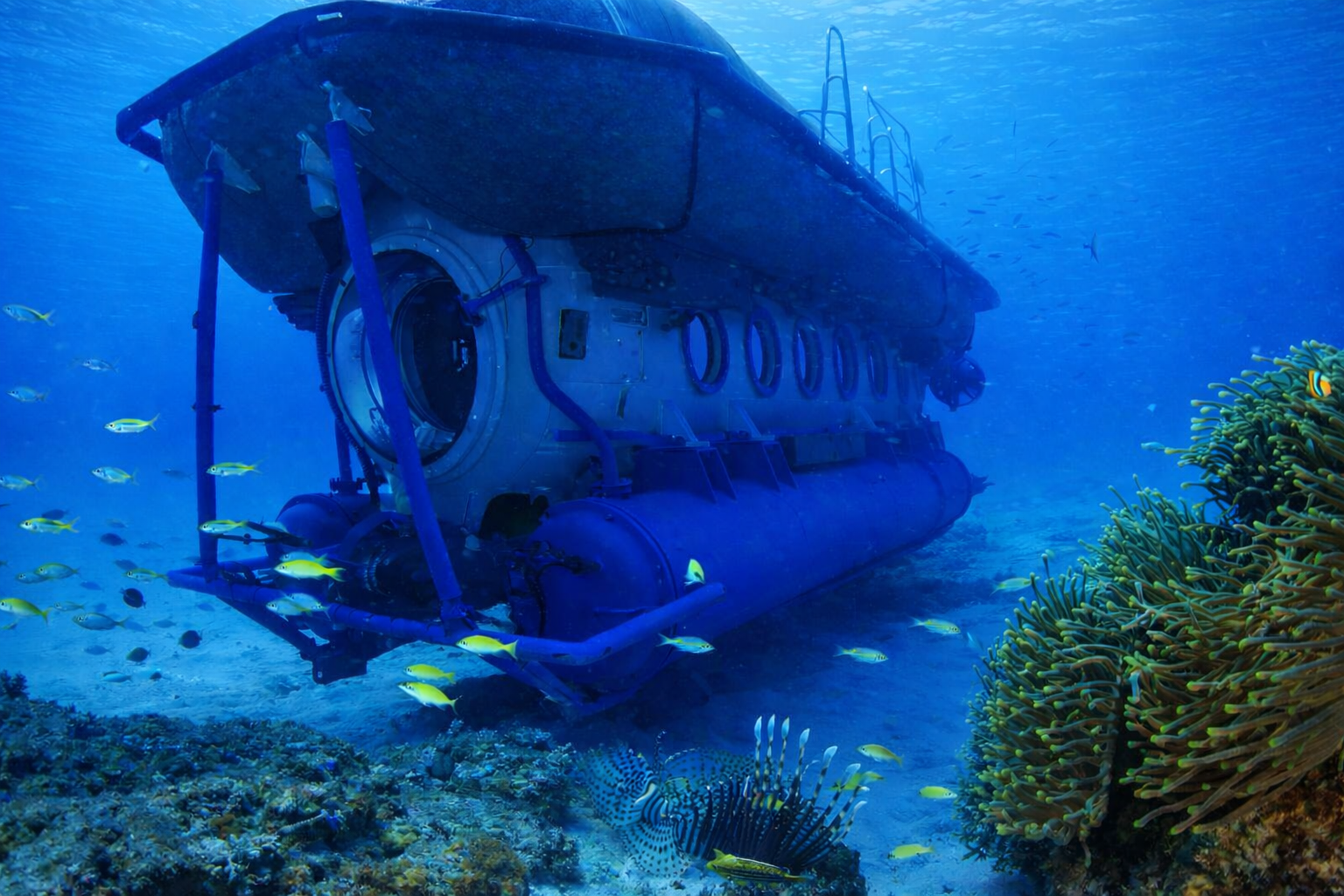Submarine Adventure in Mauritius – Blue Safari Experience